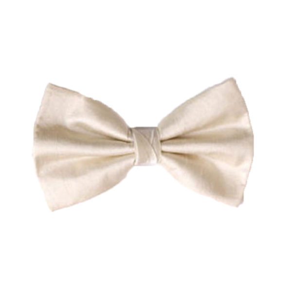 Plain bow tie